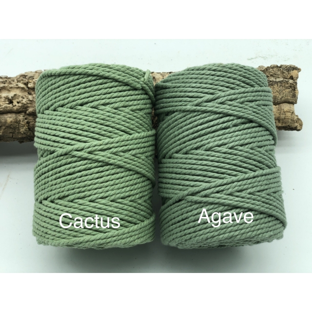 Cuerda de algodón 3mm - Cactus